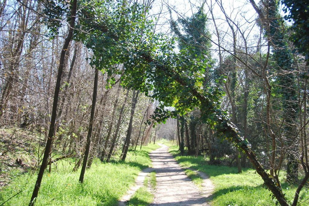 B&B Percorso Verde Ponte Valleceppi 외부 사진